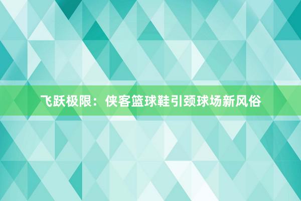 飞跃极限：侠客篮球鞋引颈球场新风俗